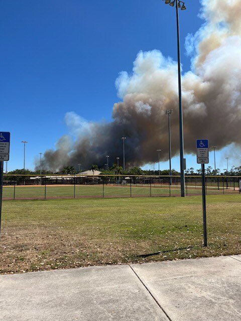 Taylor Petras tweet media