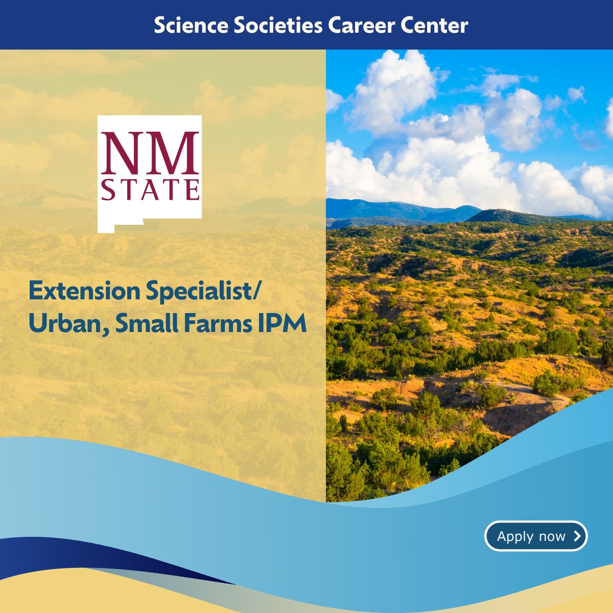 NMSU is hiring for a progressive Extension education role in integrated pest management for urban and small farms. Check it out: ow.ly/gbJ650VnGH5 #ExtensionEducation #PestManagement #UrbanFarming #AgricultureJobs #AgricultureExtension
