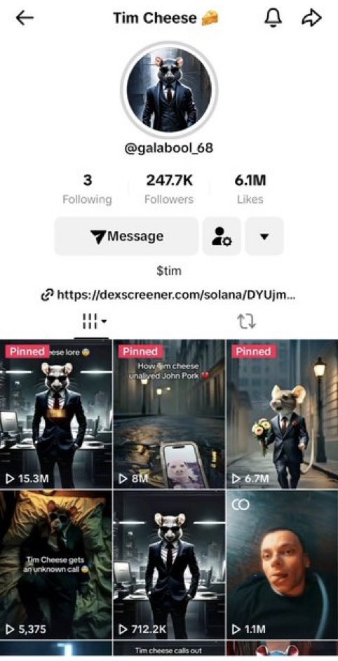 Tim Cheese artist is on board and sharing with his following. Think this is just the start. Super bullish he came aboard and is supporting.