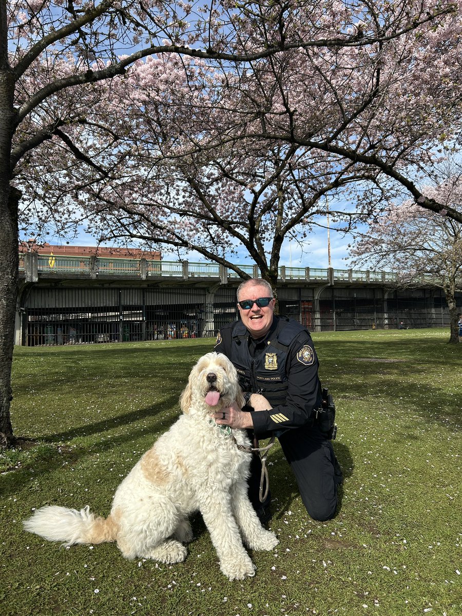 PPB Central Precinct tweet media