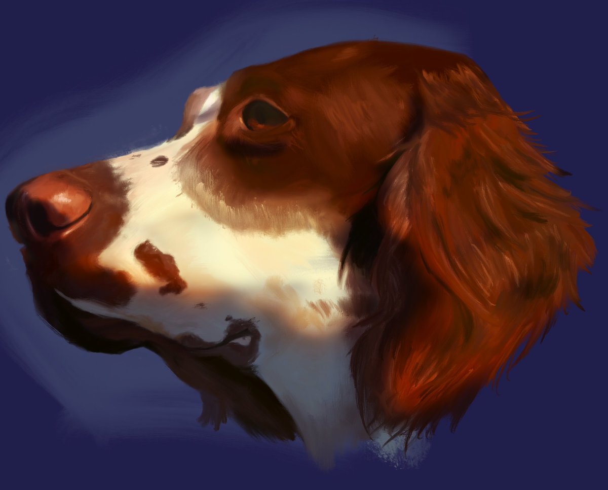 Milo (@Milothemauled) / Posts / X