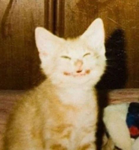 Estoy a 4 horas de 1/7