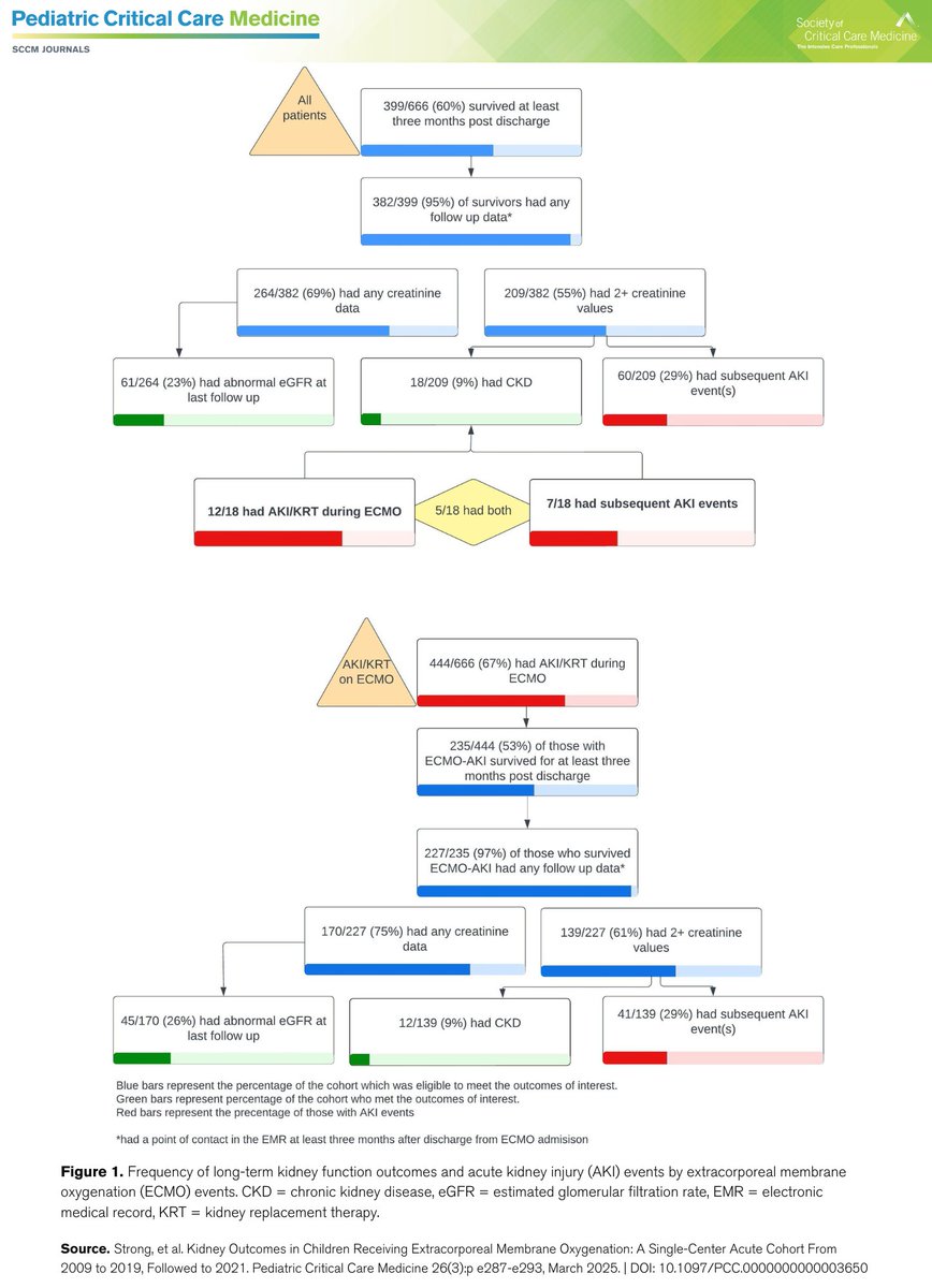 Children undergoing extracorporeal membrane oxygenation (ECMO) are at high-risk for both acute and long-term kidney-related outcomes.

Learn more with original research from the March issue of PCCM: bit.ly/3XYXQV5

#PedsICU #SCCM <a href="/SCCM/">SCCM</a>