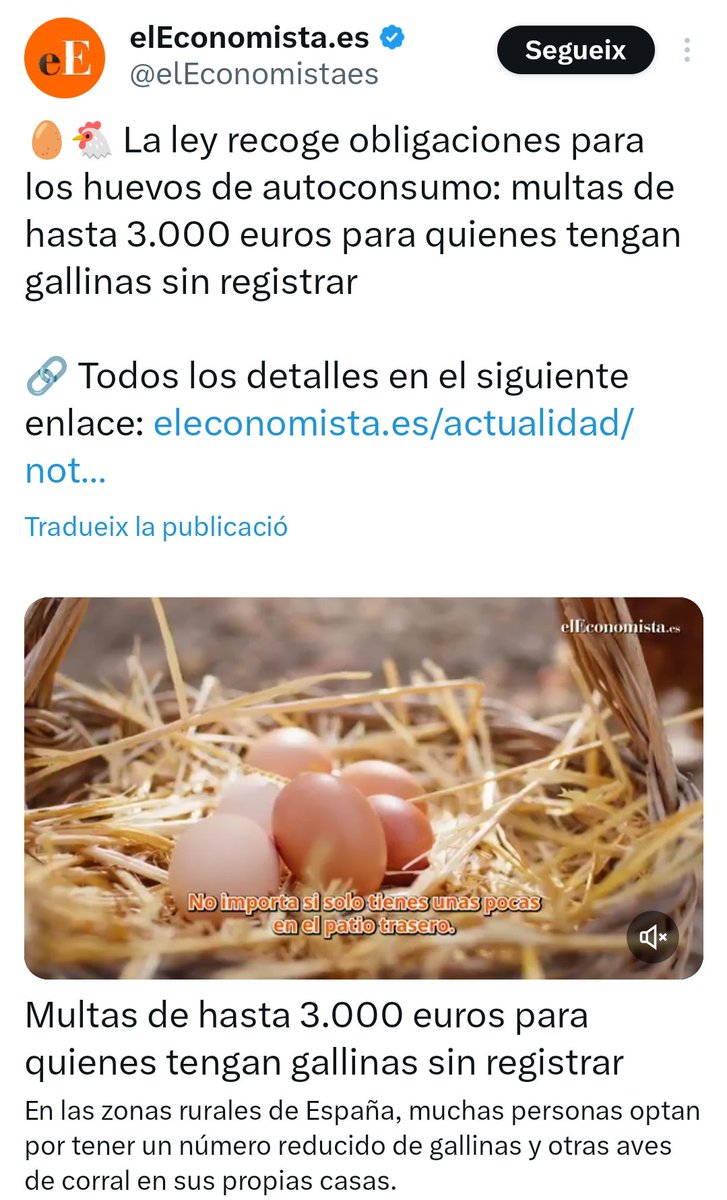 Josepbcnm's tweet photo. Entren cada dia milers d'africans sense un puto paper, però volen tenir controlades totes les gallines. https://t.co/pBKDAIKiGy