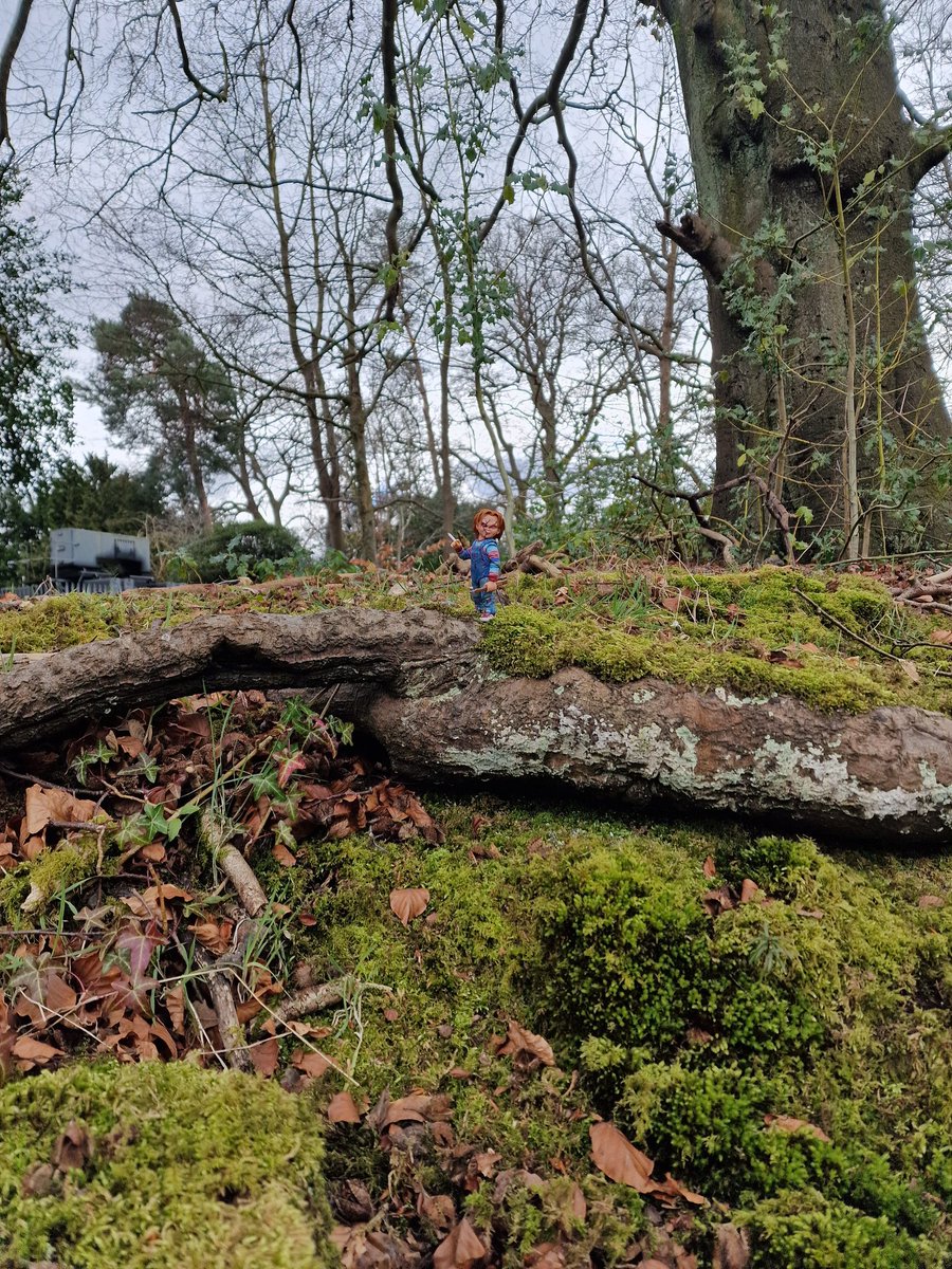 Keep your friends close, and your toys closer. 

Shot out on a walk around the local countryside last weekend. 

<a href="/NECA_TOYS/">NECA</a>  #chuckydoll #chucky #HorrorFamily #horrorfan #horroraddict #horrortoys #childsplay