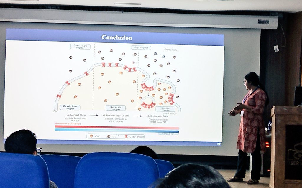 CopperBioGroup's tweet image. Tisha @DashTisha, elucidated her work on the non-canonical regulation of CTR1 through modulation of membrane mechanical properties at the Learning Bridges: Algorithms and Experiments in Biophysics (AlEx) 2025, organised by Gangeya, the student chapter of Eastern India. @iiserkol
