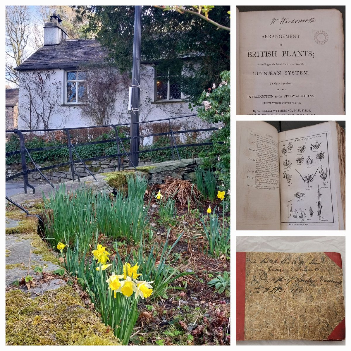 Zoe Gilbert (@lakesandbooks) on Twitter photo Always a joy to visit <a href="/WordsworthGras/">Wordsworth Grasmere</a> when the daffs are blooming. Sneak peek at the loans for <a href="/WordsworthNT/">Wordsworth House</a> #exhibition on #Wordsworth and #gardens, 'Green and Overflowing with life'. #museums #Cumbria Always a joy to visit <a href="/WordsworthGras/">Wordsworth Grasmere</a> when the daffs are blooming. Sneak peek at the loans for <a href="/WordsworthNT/">Wordsworth House</a> #exhibition on #Wordsworth and #gardens, 'Green and Overflowing with life'. #museums #Cumbria