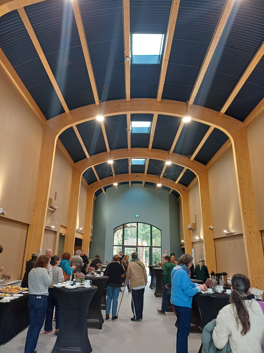 Jack Murphy tweet media