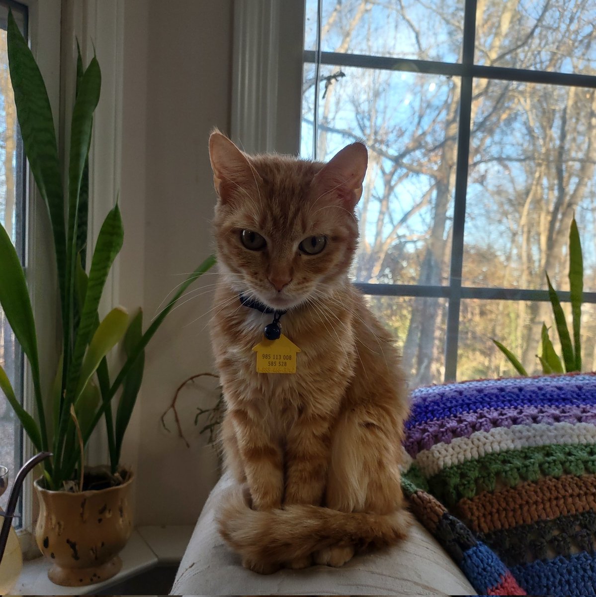 Laura Randolph tweet media