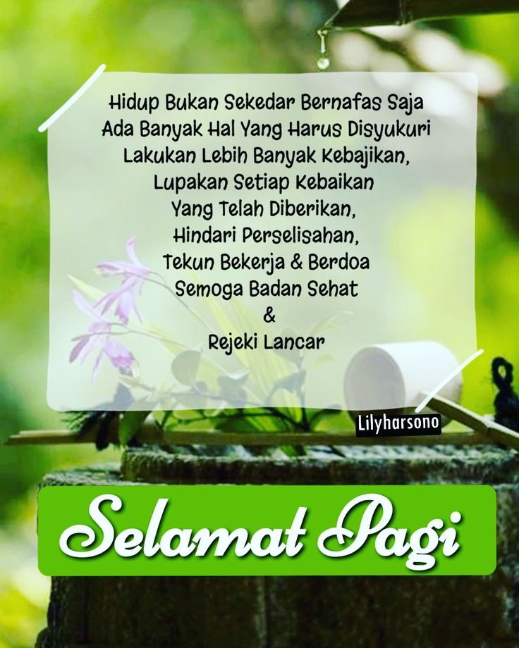 Day lilyyy tweet media