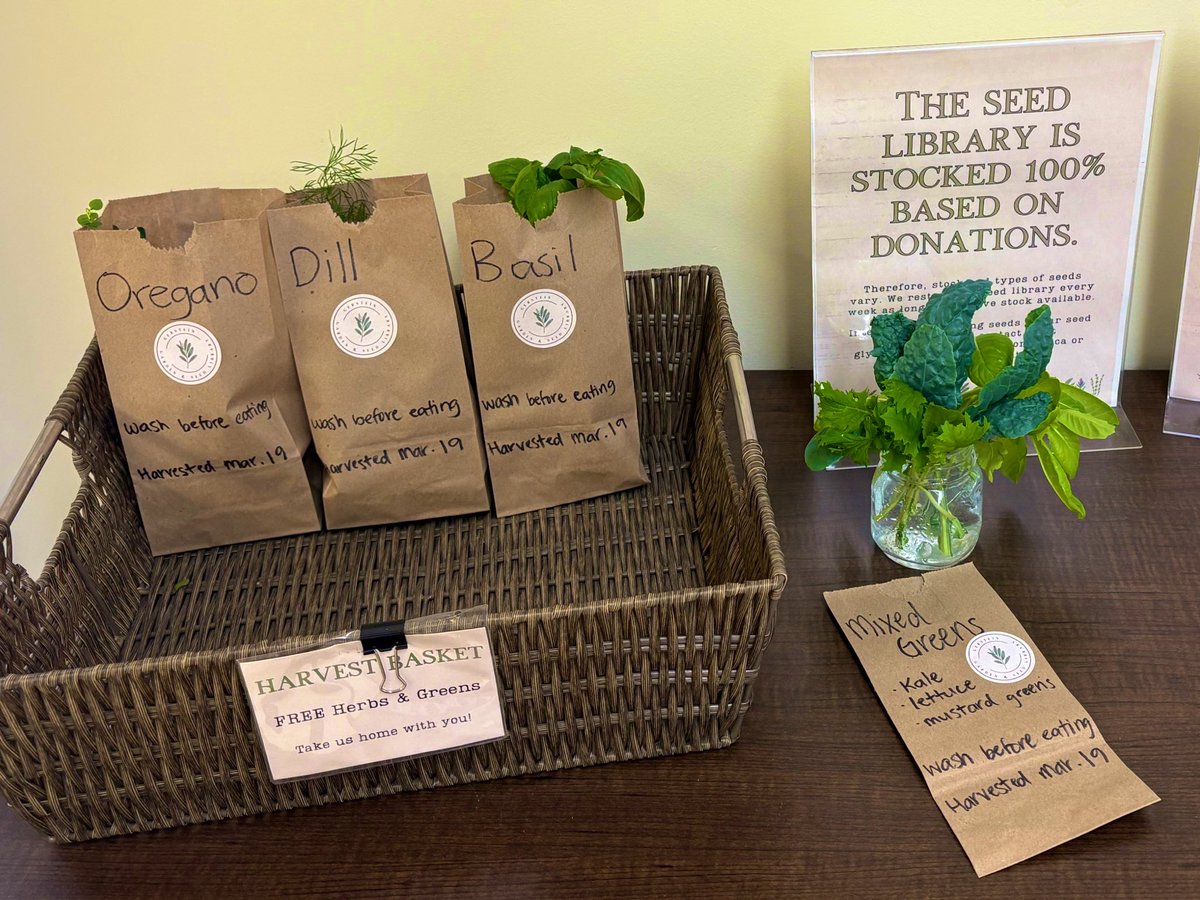 Today’s Gerstein Garden harvest - oregano, dill, basil, and mixed greens 🌿
Drop by for a free bag (while supplies last)

📍Main floor, left of the Book Stop