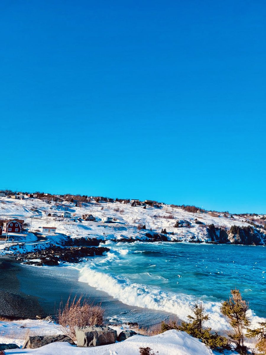 GradStudies@MUN tweet media