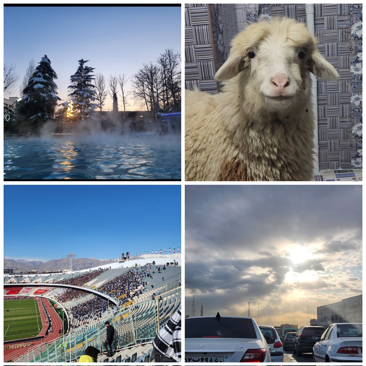 Pouria tweet media