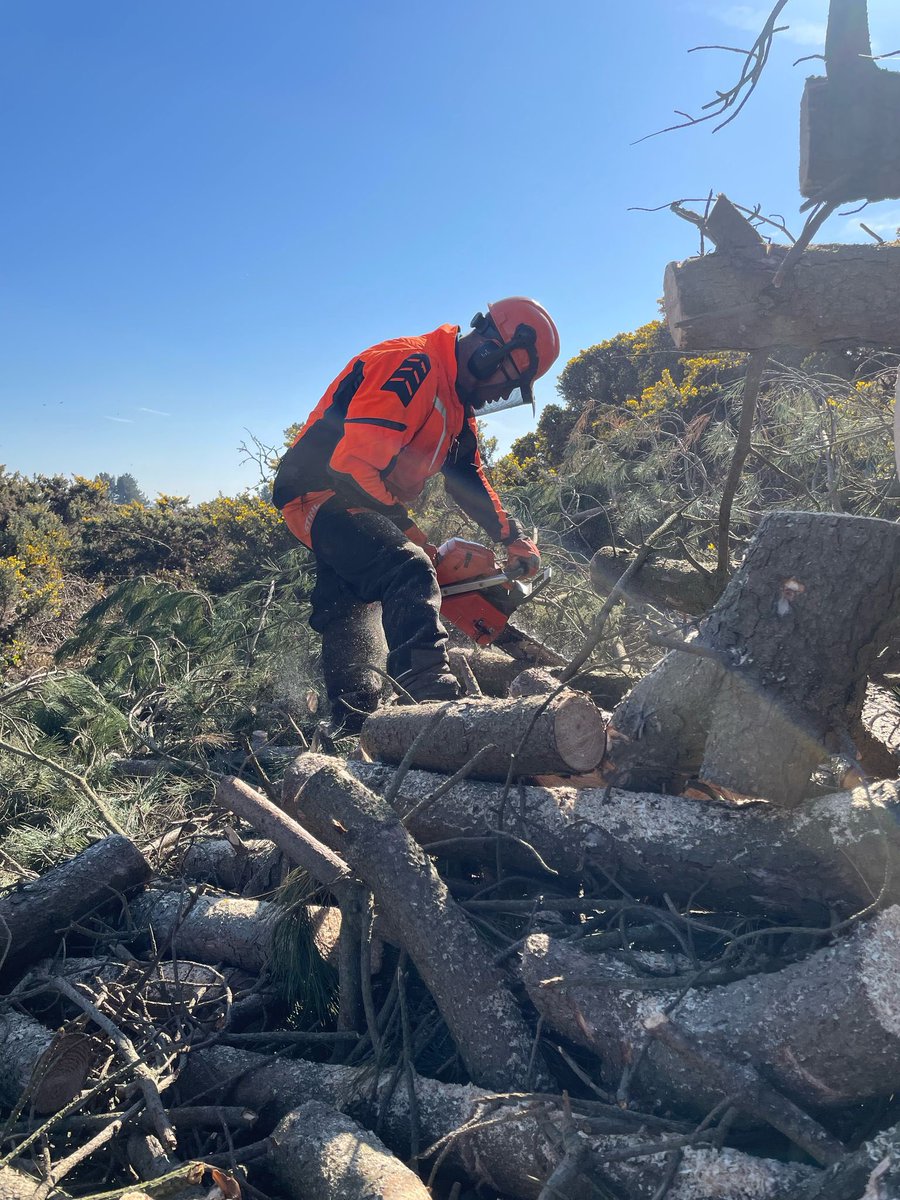 Steven🤟🏻 tweet media