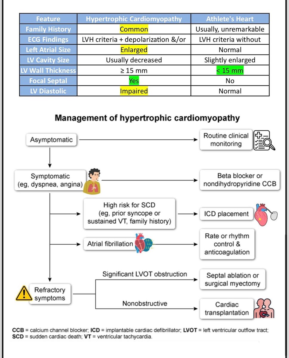 Dr_meds's tweet photo. 💢 What is Hypertrophic Cardiomyopathy ?? https://t.co/LOp0MYuThD