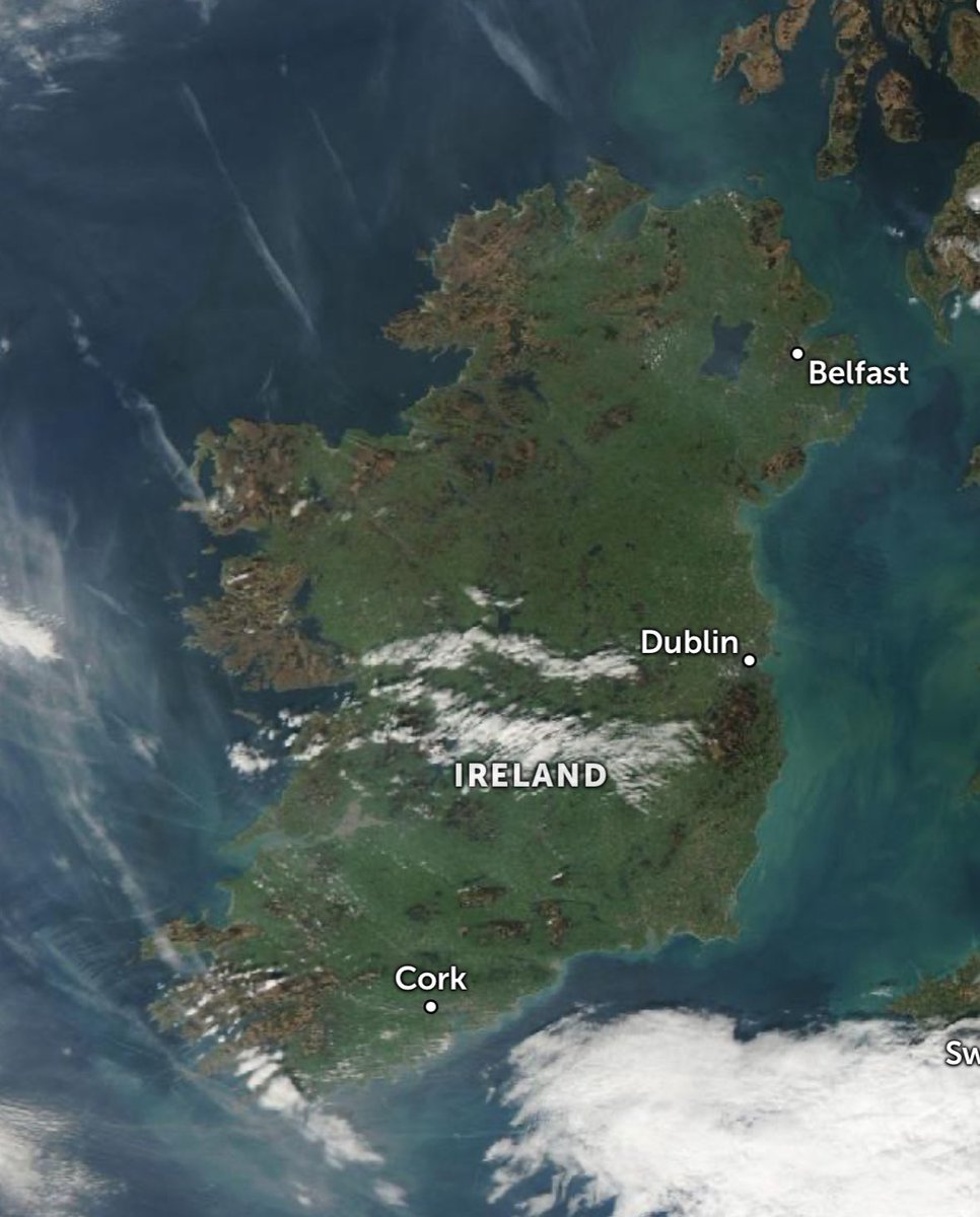 Barra Best tweet media