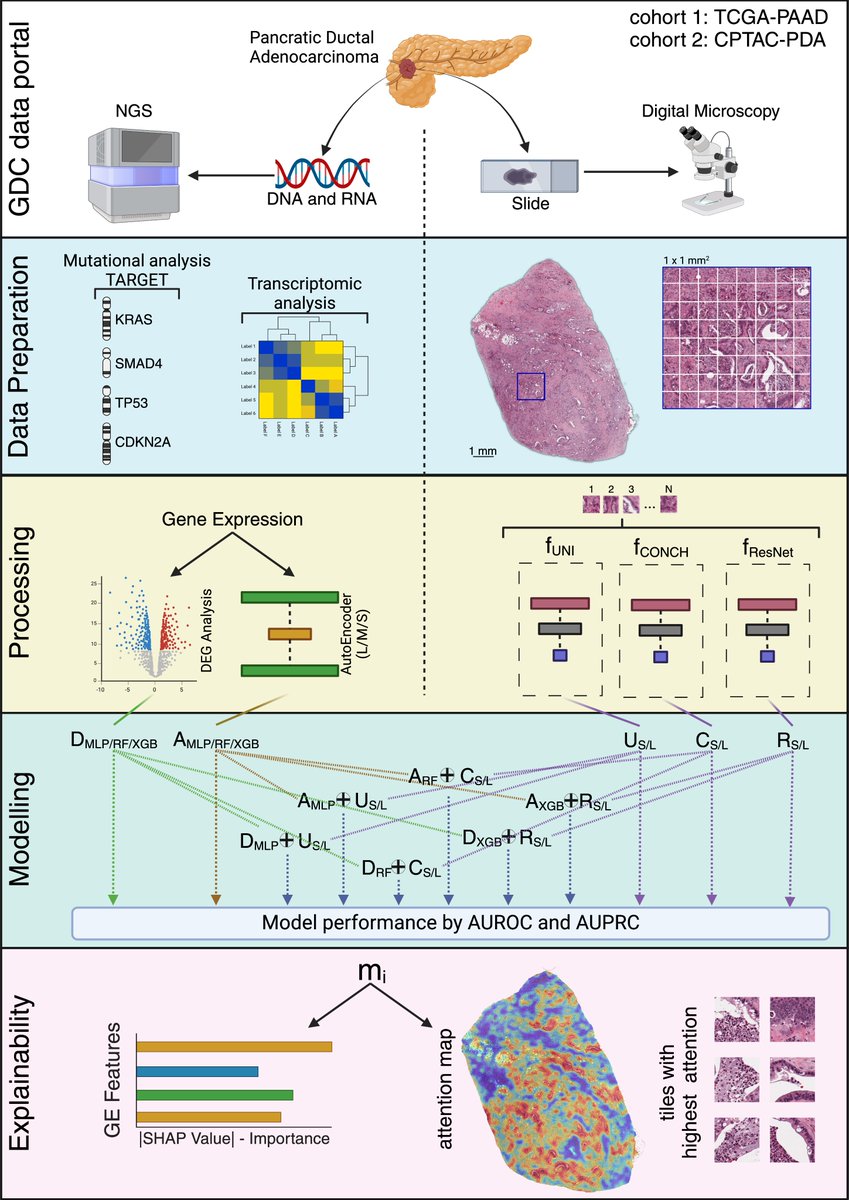 Gian Maria Zaccaria tweet media