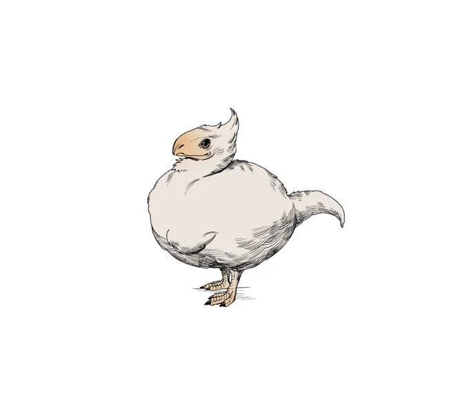 chicken nugget 