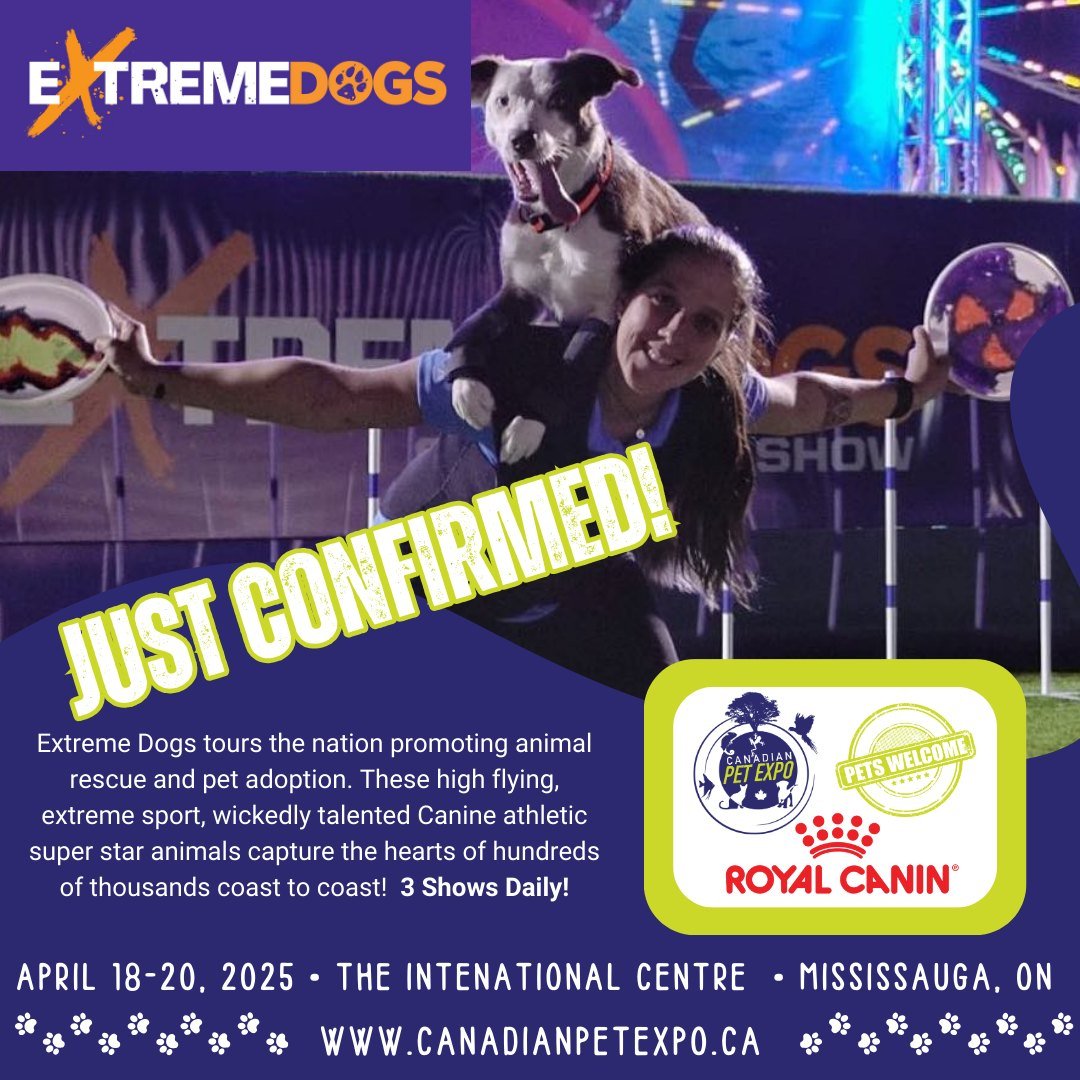 These wickedly talented stunt dogs will dazzle you with extreme tricks, agility, and frisbee-catching stunts while also promoting #animalrescue  and #petadoption. canadianpetexpo.ca