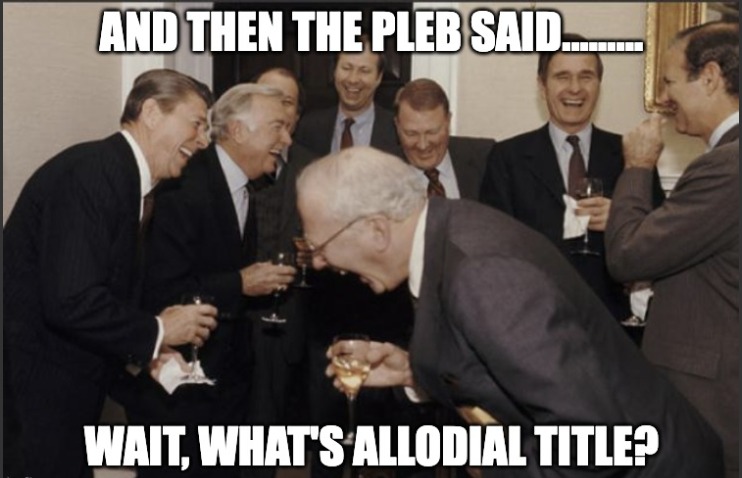 Daniel Prince tweet media