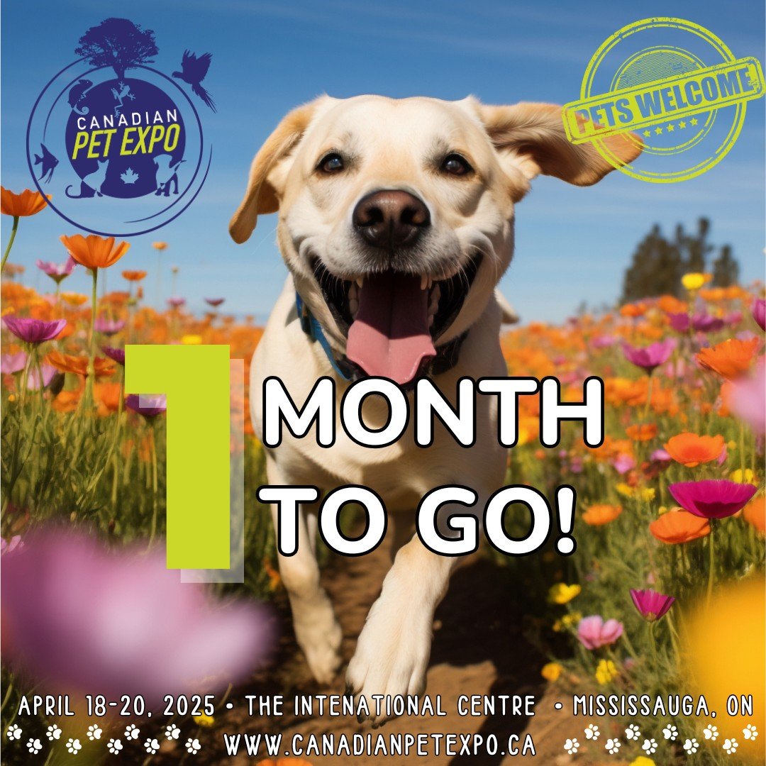 The countdown is ON! Get ready for Canada’s biggest pet celebration at the Spring Canadian Pet Expo, happening April 18-20 at The International Centre, #mississauga ! canadianpetexpo.ca