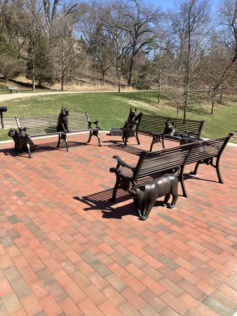 Sweet Daddy Cool✌️🇺🇦 🐕🇨🇦 tweet media