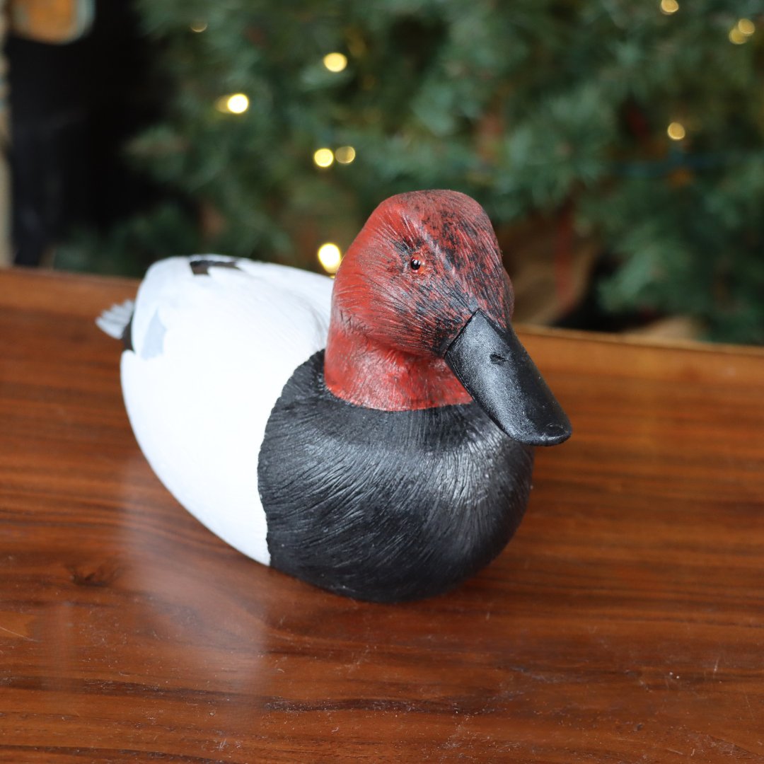 GenuineGaArt's tweet photo. Next up, we have this striking male canvasback from Alan Etter! ✨ These hand-carved decoys make the perfect decorative touch for a man cave or hunting room. Don’t miss out on adding this unique piece to your space! 🌿

#Art #ShopSmall #Duck #Canvasback https://t.co/NZnSkRWhLg
