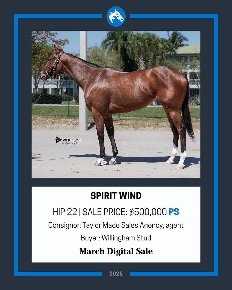 TaylorMadeSales's tweet photo. #SaleTopper! ๐คฉ ๐
This exciting multiple GSW SPIRIT WIND, sold for $500,000 in the @faisgtiptonco March Digital Sale! A big thank you to Miller Racing for trusting us with this exceptional horse & congratulations to Willingham Stud. Best of luck! @steve_kempton https://t.co/UKkrNv1vc9