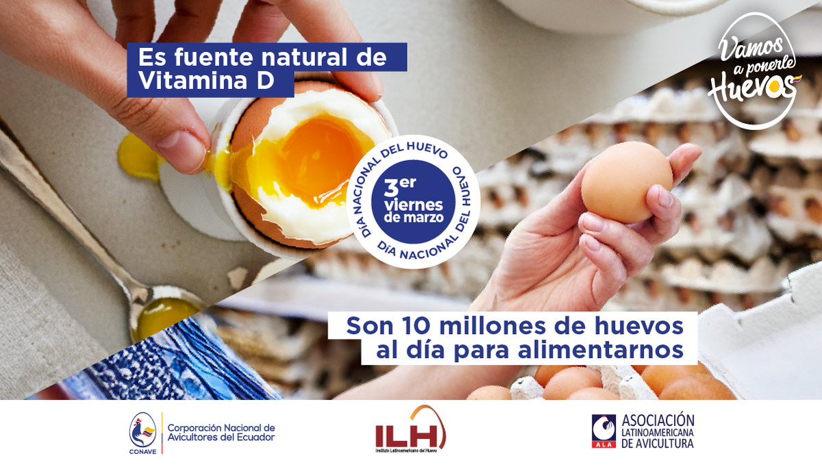 ¿Sabías que el huevo es una de las pocas fuentes naturales de Vitamina D? Esta vitamina es clave para fortalecer los huesos, el sistema inmunológico y mantenerte lleno de energía.
Ecuador produce 10 millones de huevos al día 
#ElHuevoEstaEnTodo #ConsumeloSinMiedo