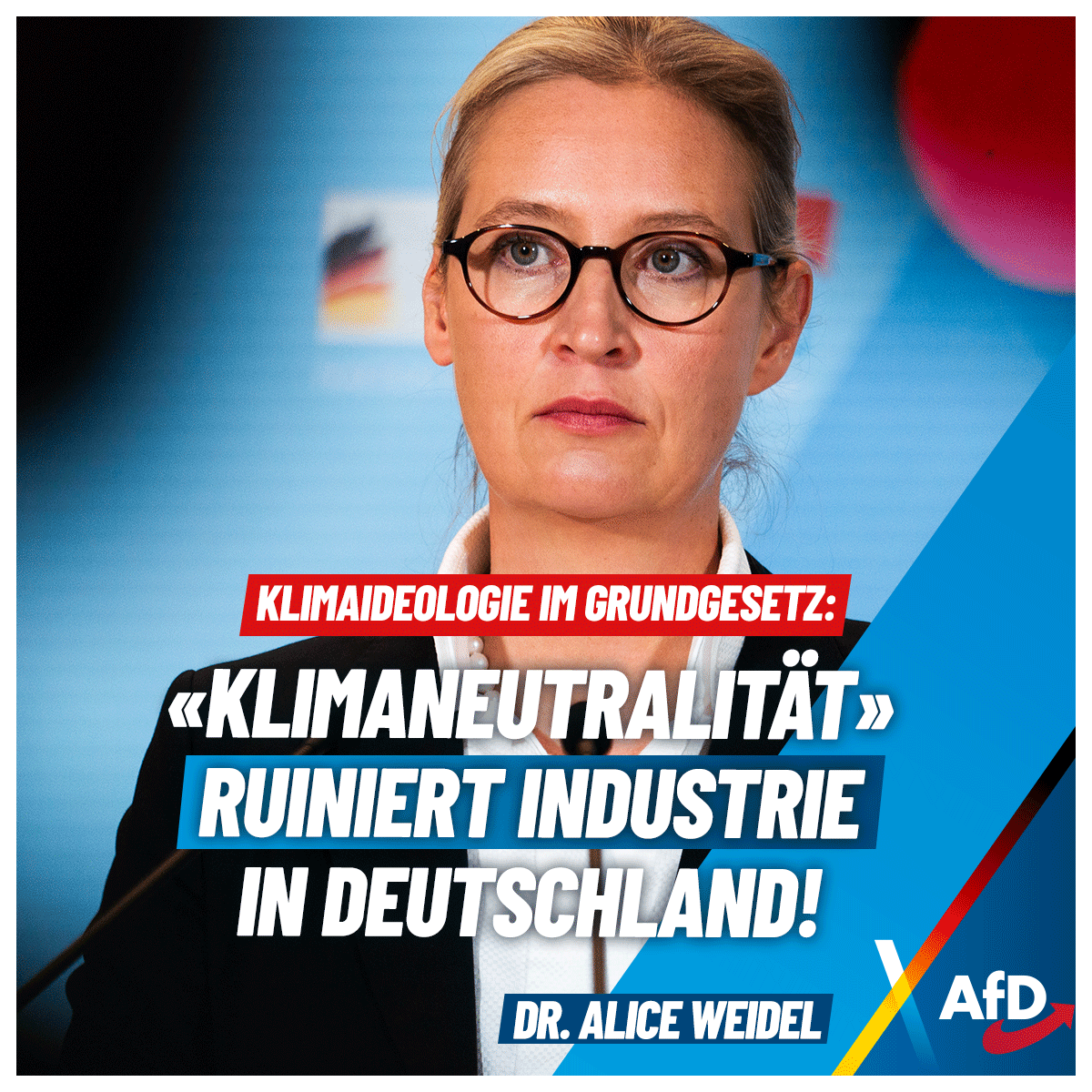Alice Weidel tweet media