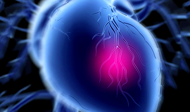 NanoApps Medical Inc - Curated by Amanda Scott (@nanoappsm) on Twitter photo Challenging Previous Beliefs: Japanese Scientists Discover Hidden Protector of Heart
nanoappsmedical.com/challenging-pr…
c.c. <a href="/tantriclens/">Amanda Scott</a> <a href="/HeinzVHoenen/">Heinz V. Hoenen 🌻</a> <a href="/cellrepair777/">Frank Boehm🌻</a> Challenging Previous Beliefs: Japanese Scientists Discover Hidden Protector of Heart
nanoappsmedical.com/challenging-pr…
c.c. <a href="/tantriclens/">Amanda Scott</a> <a href="/HeinzVHoenen/">Heinz V. Hoenen 🌻</a> <a href="/cellrepair777/">Frank Boehm🌻</a>