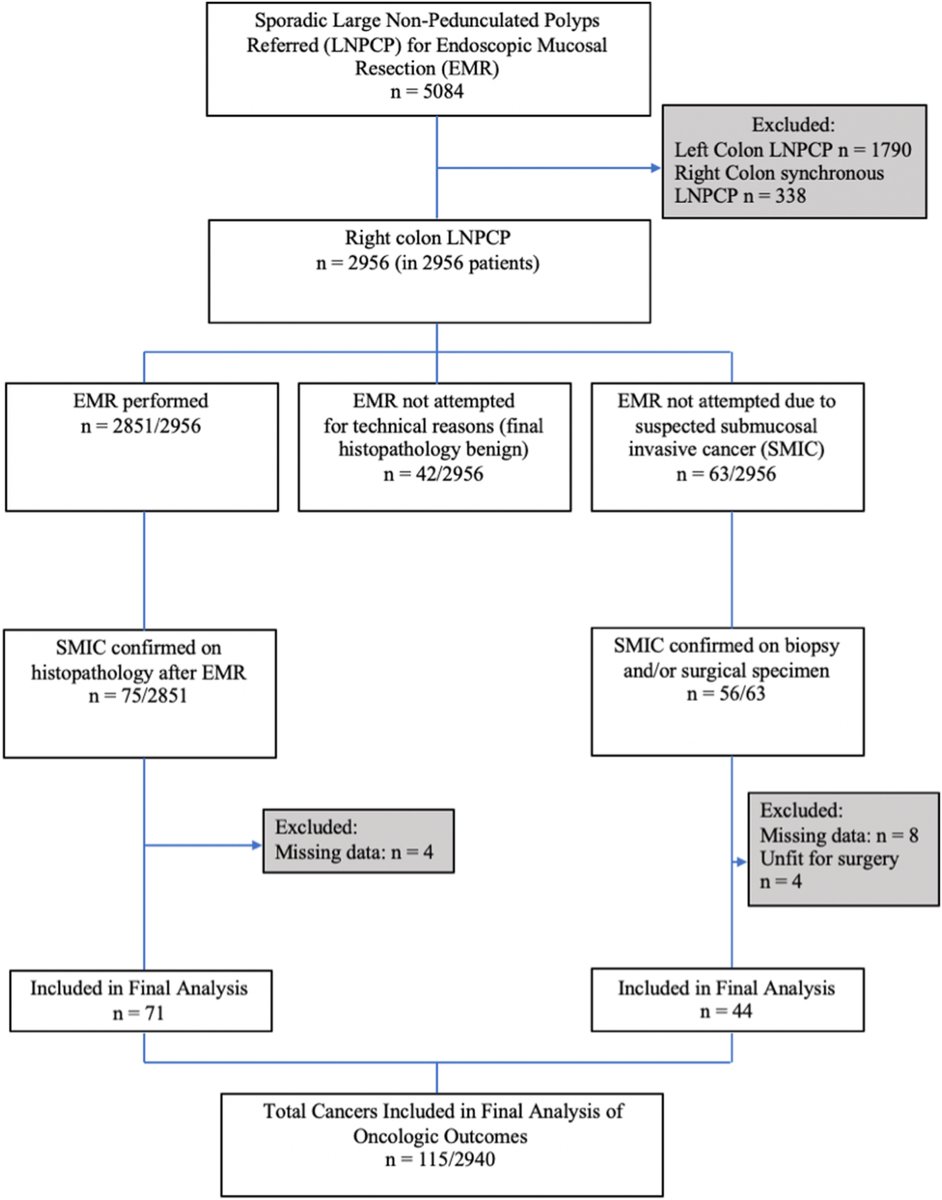 CGH (@aga_cgh) on Twitter photo In a multicentre Western cohort of 3000 patients with right colon LNPCP, the prevalence of low-risk cancer, amenable to cure by ESD, was 0.78%. Therefore, universal application ESD in the right colon is not justified: ow.ly/K50W50Vk8wy
<a href="/JuGauc/">Julia Gauci</a> In a multicentre Western cohort of 3000 patients with right colon LNPCP, the prevalence of low-risk cancer, amenable to cure by ESD, was 0.78%. Therefore, universal application ESD in the right colon is not justified: ow.ly/K50W50Vk8wy
<a href="/JuGauc/">Julia Gauci</a>