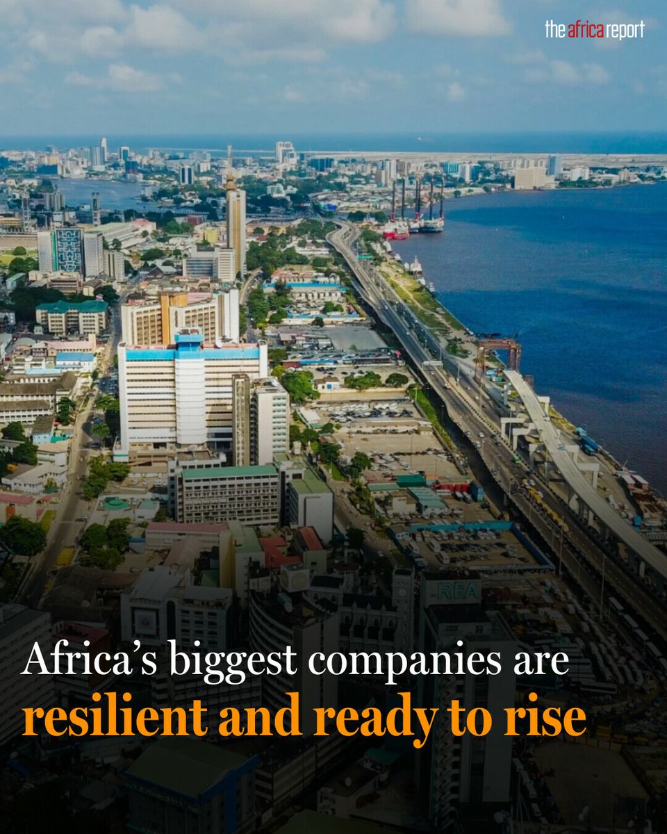 The Africa Report tweet media