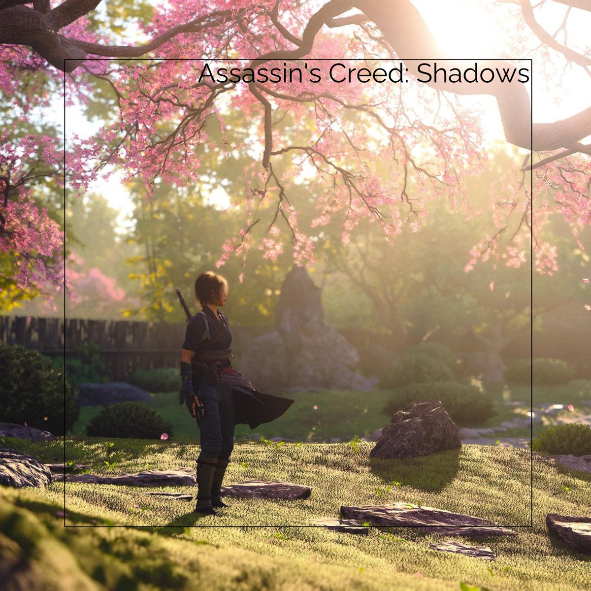Good morning my friends!!☕️☕️

Who's excited for the release of Assassin's Creed: Shadows?