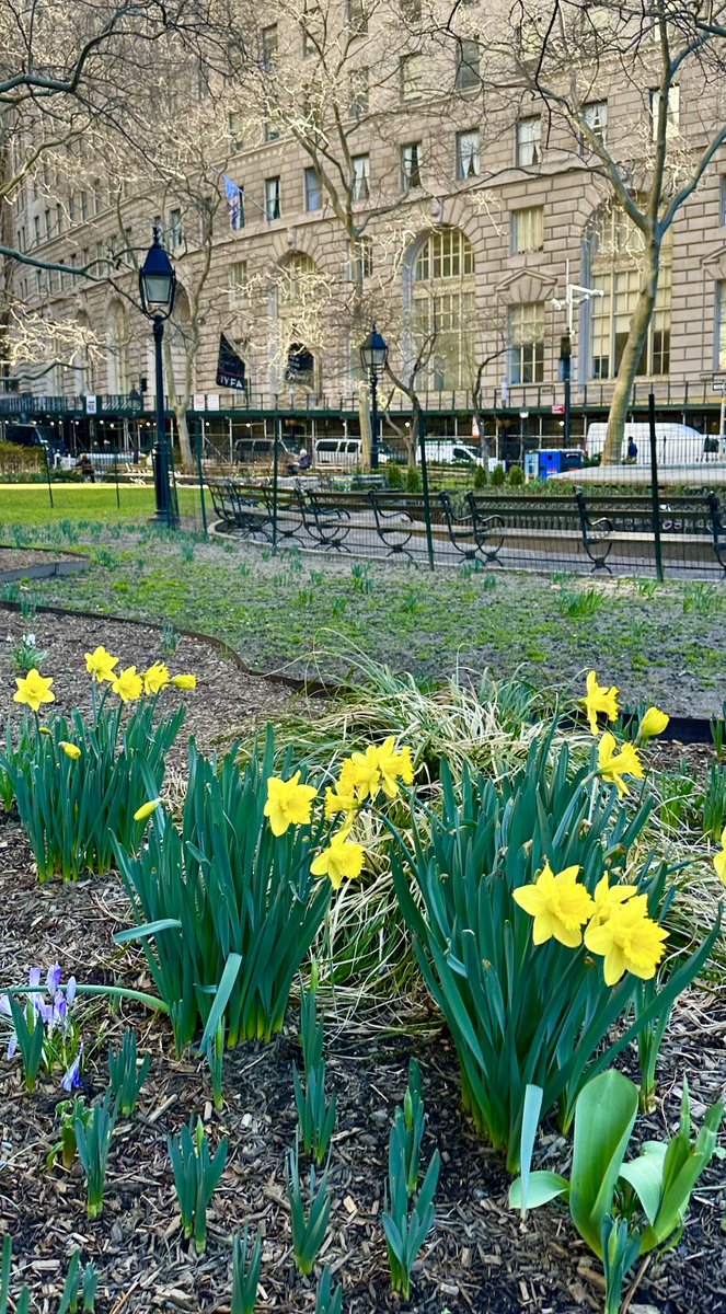 JohnMandyck's tweet photo. Lots to worry about in the daily doom scrolling, but hope does spring eternal  🌼 https://t.co/ZCCXH678hd