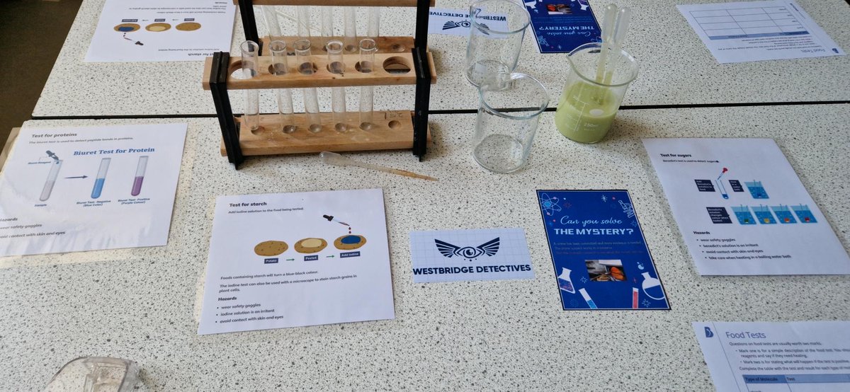 RaedwaldT's tweet photo. Students at Westbridge Academy enjoyed celebrating British Science Week. They created crystal flowers, made matchstick rockets and took part in a mystery activity. They took part in “I’m a scientist get me out of here” online where they had a live chat with different scientists! https://t.co/9kEkLvdPdM