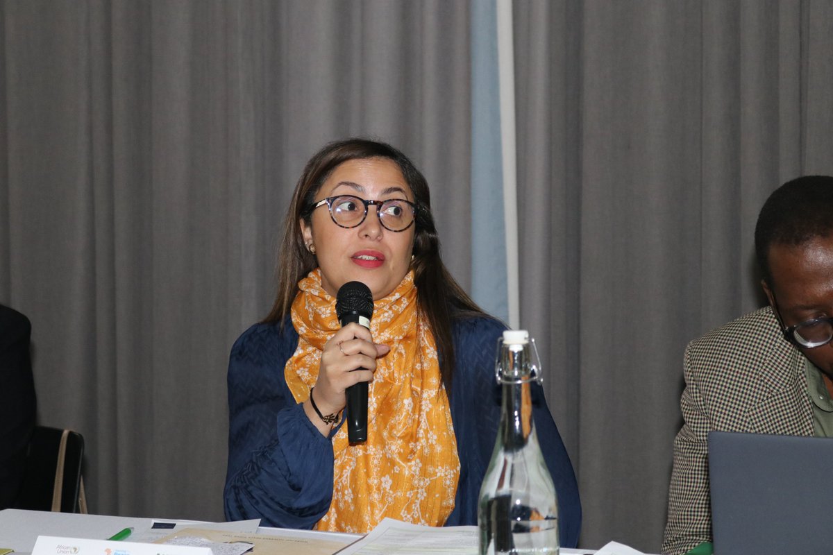 This meeting brings together representatives from the AUC, #mediation &amp; dialogue experts and key stakeholders to ensure these resources reflect best practices &amp; emerging conflict trends.