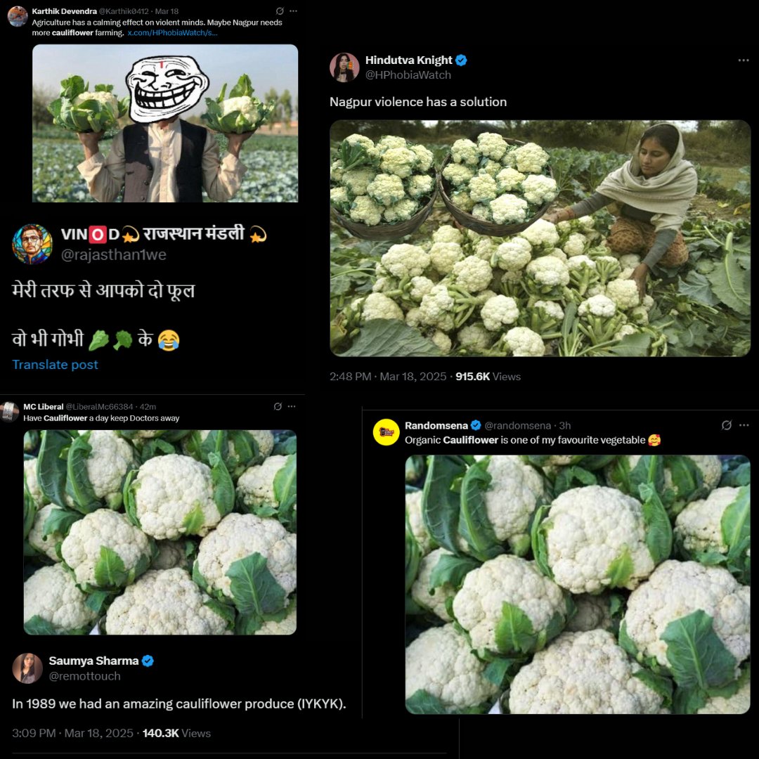 anarkaliofara's tweet photo. 🚨🚨कल से हज़ारों की तादाद में "Cauliflower Dig" पोस्ट किए जा रहे हैं 🚨🚨

ये सिर्फ़ मीम नहीं, बल्कि भागलपुर नरसंहार की खुली याद दिलाने के लिए किए जा रहे हैं! वो मंज़र जब 1989 में सैकड़ों बेगुनाह मुसलमानों का क़त्ल किया गया और फूलगोभी के खेतों में उनको दफ़्न कर दिया गया।

लेकिन कांग्रेस? मुकम्मल ख़ामोश!!

ये वही कांग्रेस है जो बिहार में सेक्युलर होने का दावा करती है और मुसलमानों के वोटों पर नज़र गड़ाए बैठी है। ये वही कांग्रेस है जो कहती है कि वो RJD के मुस्लिम वोटरों को तोड़ लेगी।

मगर जब BJP के लोगों ने इस नंगे नाच की शुरुआत की, तब कांग्रेस के किसी रहनुमा की ज़ुबान तक नहीं खुली। ना ऑफिशियली, ना अनऑफिशियली - कांग्रेस का कोई भी आदमी इस सियासी गंदगी के ख़िलाफ़ एक लफ्ज़ तक बोलने की हिम्मत नहीं कर सका!!

जब मुसलमानों के ज़ख्मों को बार-बार कुरेदा जा रहा है, तब कांग्रेस अपनी ख़ामोशी से BJP को खुला फायदा पहुँचाने में लगी हुई है!!

हक़ीक़त ये है कि कांग्रेस इस चुनाव में पूरी तरह irrelevant हो चुकी है। महागठबंधन में कांग्रेस को 25 से ज़्यादा सीटें देना सरासर नाइंसाफ़ी होगी!

सभी मुसलमान भाइयों और बहनों, देख लीजिए यही कांग्रेस की असलियत है!! जो आपके मसाइल पर आपके साथ नहीं खड़े होते, क्या आप उन्हें अपना वोट देंगे? वैसे भी भागलपुर दंगों के समय बिहार में कांग्रेस कि ही सरकार थी!!

अब वक़्त आ गया है कि कांग्रेस के हर प्रोग्राम और हर रैली का पूरी तरह बायकॉट किया जाए!

#BoycottCongress