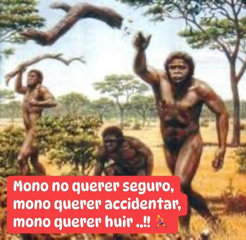 🐒