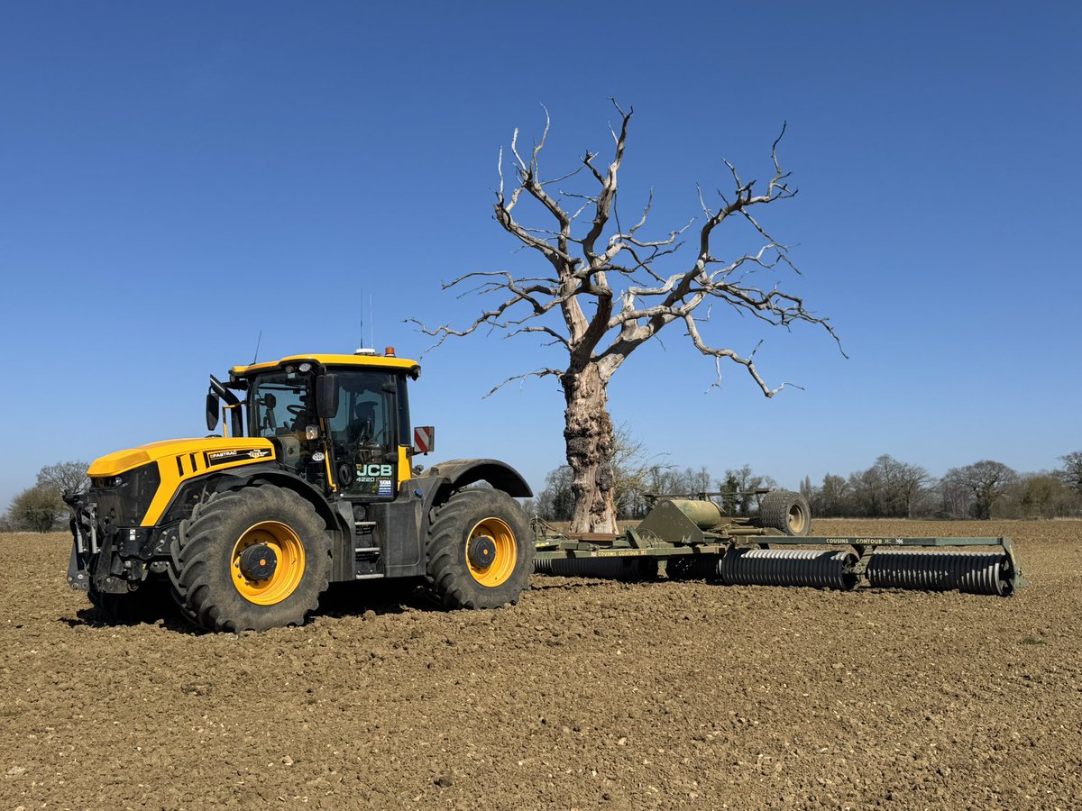 John Pawsey 🌞 tweet media