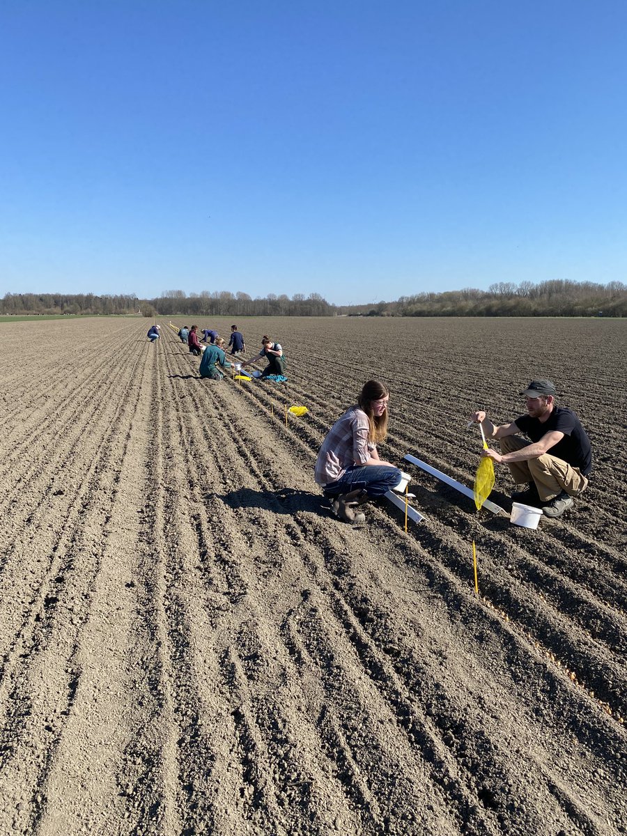JohnBrunen's tweet photo. #plantuien #bio #proefveld samen met de studenten weer geplant op de @warmonderhofBD @DeGrootenSlot https://t.co/PUyFPJrNMF