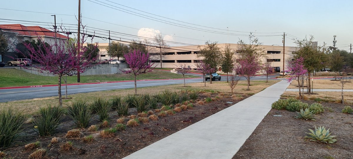 CAPT. PARA8OLIC TOBLERONE tweet media