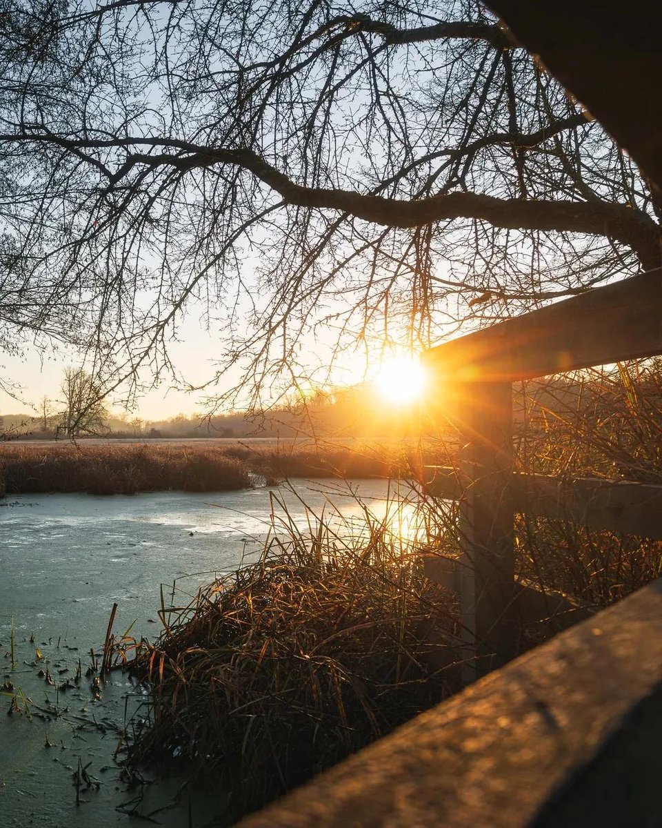 As the sun rises over the serene waters, appreciate the beauty of nature and the promise of a new day.  #Sunrise #NatureLovers #MorningVibes