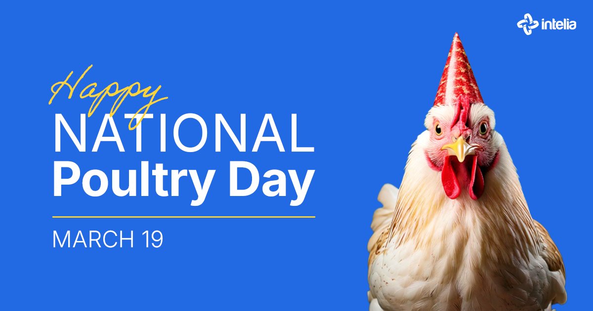 intelia_com's tweet image. 🐔 Happy National Poultry Day! 🐔
Year after year, Intelia is proud to support poultry producers with smart solutions that make poultry farming more efficient &amp;amp; sustainable. Thank you for your hard work and commitment to feeding the world! 

#NationalPoultryDay #PoultrySolutions