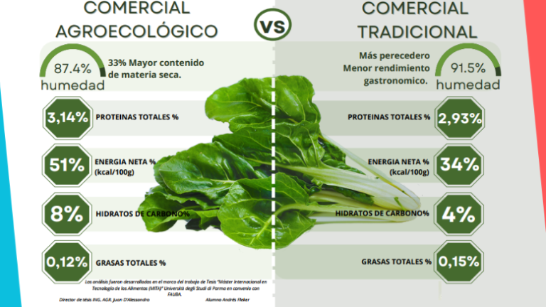 SLT_Divulgacion's tweet photo. 🥬Las agroecológicas tuvieron más proteínas, calorías y carbohidratos, y no presentaron residuos de fitosanitarios
🧵2/3

#ciencia @BichosdeCampo @infobae @revistachacra @mundoagrocba @Munagropecuario @agronoa @Patricio_Quinos @ICCASciencia https://t.co/kIzdTLOpGP