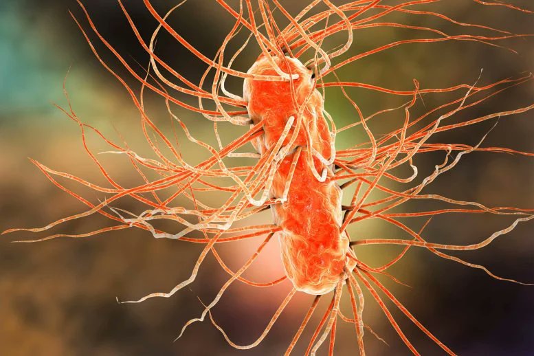 📰 #NewsFlash #Microplastics Are Fueling the Rise of Deadly #Superbugs Read more about it here:
lnkd.in/eujSsEdY
