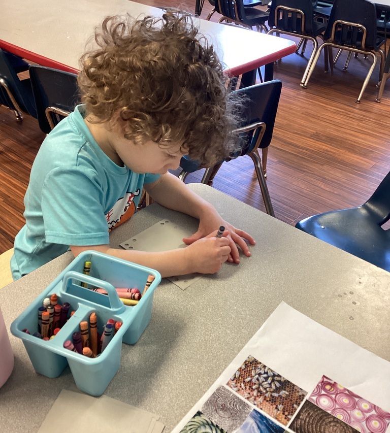 AlexNolte9's tweet photo. Check out how our classrooms delved into the inquiry question: Where can you find patterns in nature? πΏπ #NatureExploration #LearningThroughInquiry #PlayfulLearning #presKindergartenisfun #TheGoddardSchoolwestchesteroh #education #Kindergarten https://t.co/JIRu0ej2tT