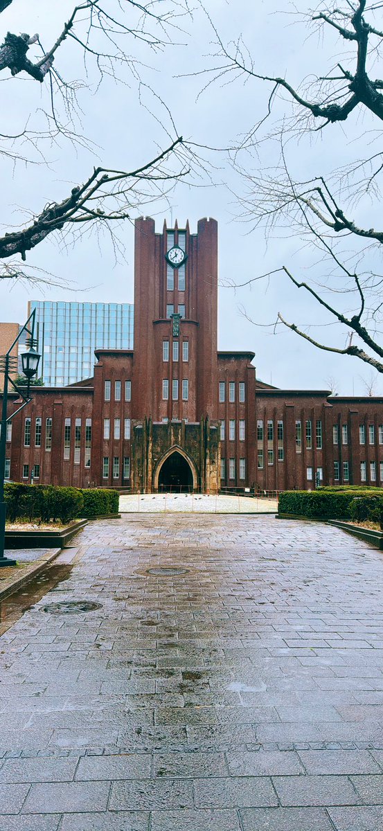 verypluming's tweet image. 覚悟して大学に行ったが、雪は全然積もっていなかった。そして数億年ぶりにもり川に行った。研究者としてこの先生きのこりたいなら、心を鬼にしてでもこれまでの自分から脱却して、自己研鑽の時間を作らないと結局自分自身が許せないのではないか、と痛感した日だった。　#本郷ごはん