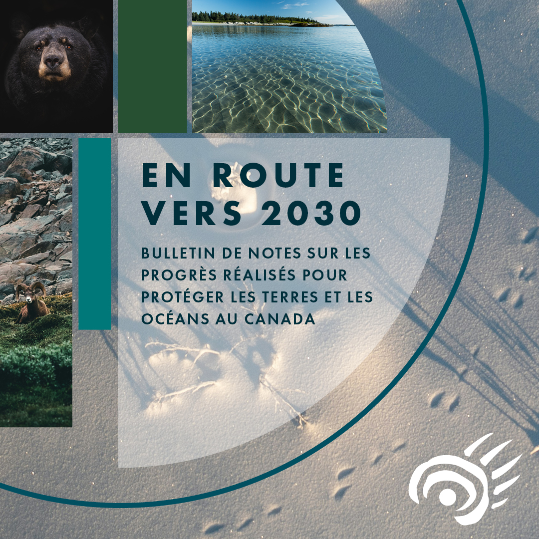 LES NOTES SONT SORTIES &amp; LA SNAP EMMÈNE LE CANADA À L’ÉCOLE DE LA CONSERVATION. 👨🏼‍🏫Découvrez notre Bulletin de notes sur la protection de la nature et voyez qui excelle ou échoue. ALERTE AU SPOILER! Certaines provinces et territoires sont en échec scolaire. snapcanada.org/en-route-vers-…