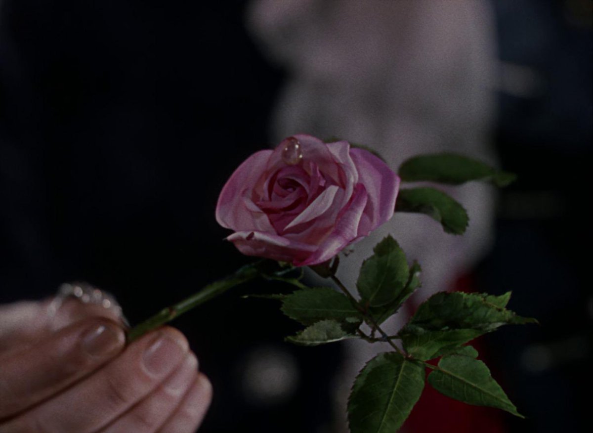 scorsese spam account tweet media